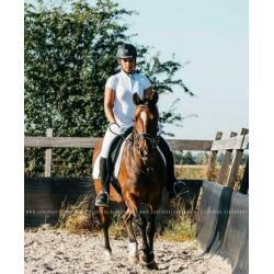 Mooie D Pony te Koop