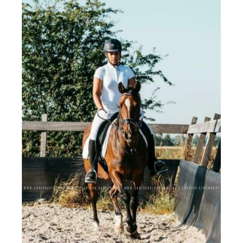 Mooie D Pony te Koop