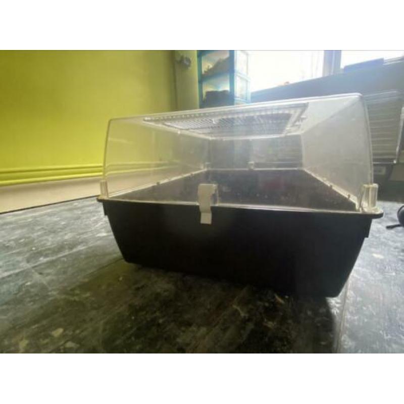 Hamster/cavia kooi