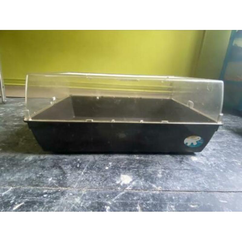 Hamster/cavia kooi