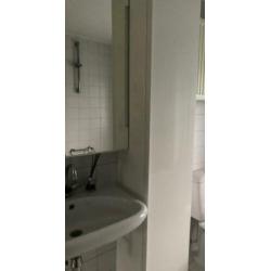 Hoge badkamerkast wit (40x192) zgan GODMORGON Ikea wit