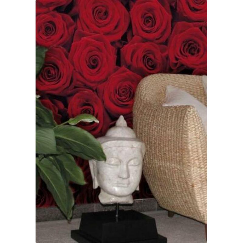 Komar Fotobehang Rozen roses nieuw ongebruik 4-077