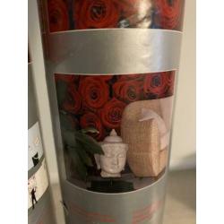 Komar Fotobehang Rozen roses nieuw ongebruik 4-077