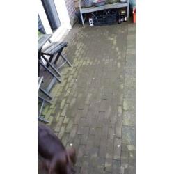 Gebakken dikformaat 17m2