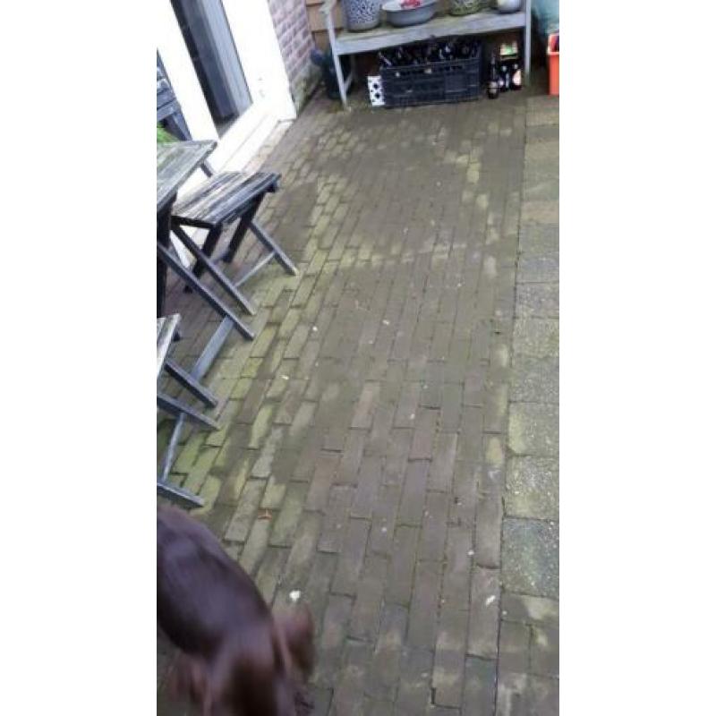 Gebakken dikformaat 17m2