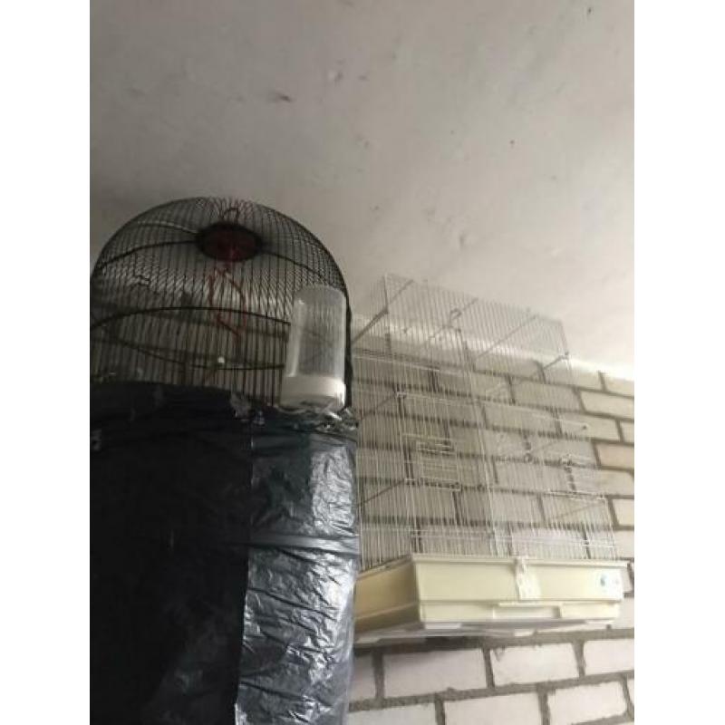 5 vogel kooien te koop