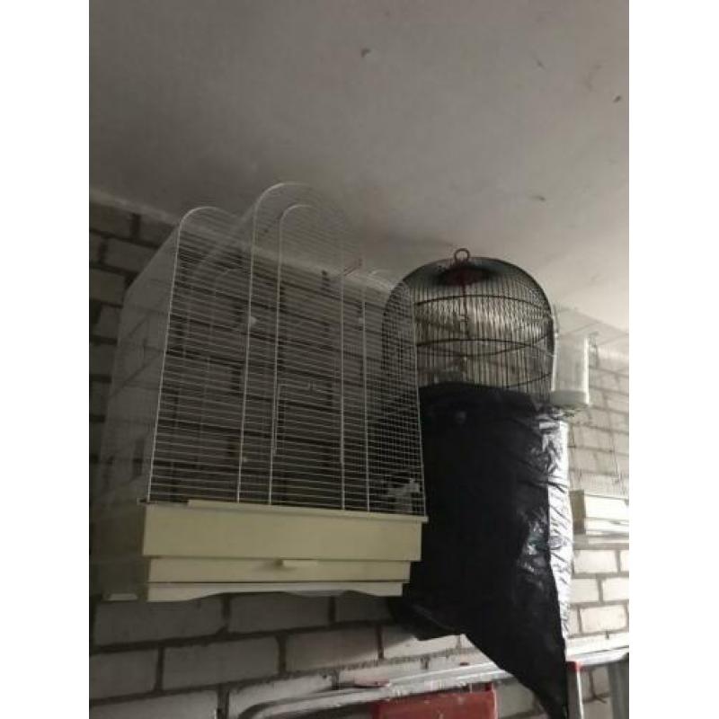 5 vogel kooien te koop