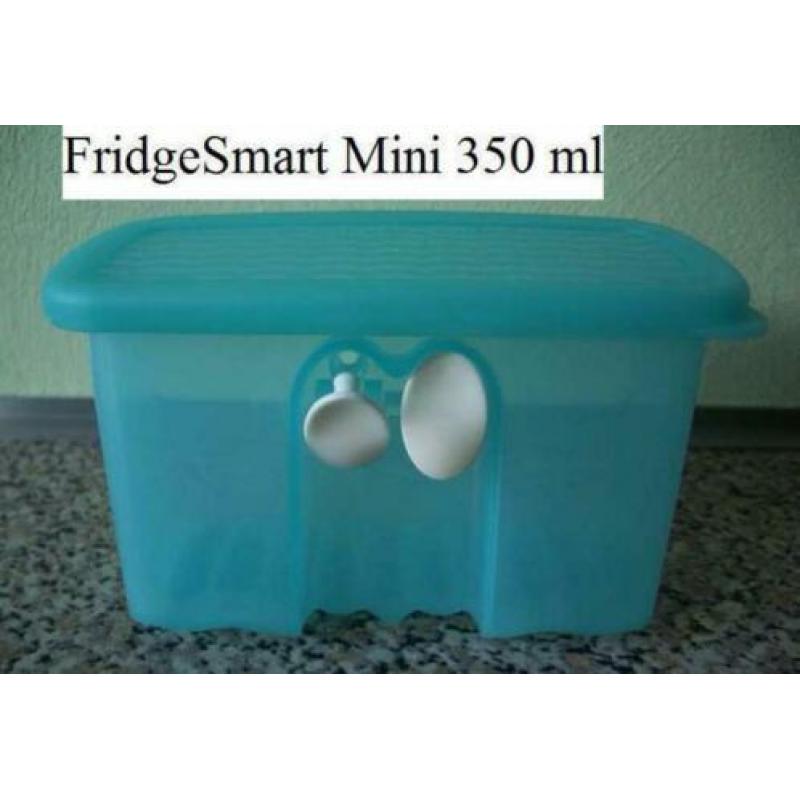 007 Fridgesmart dozen, div. maten, Tupperware
