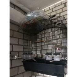 5 vogel kooien te koop