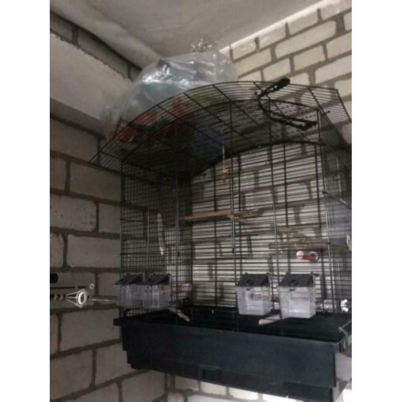 5 vogel kooien te koop