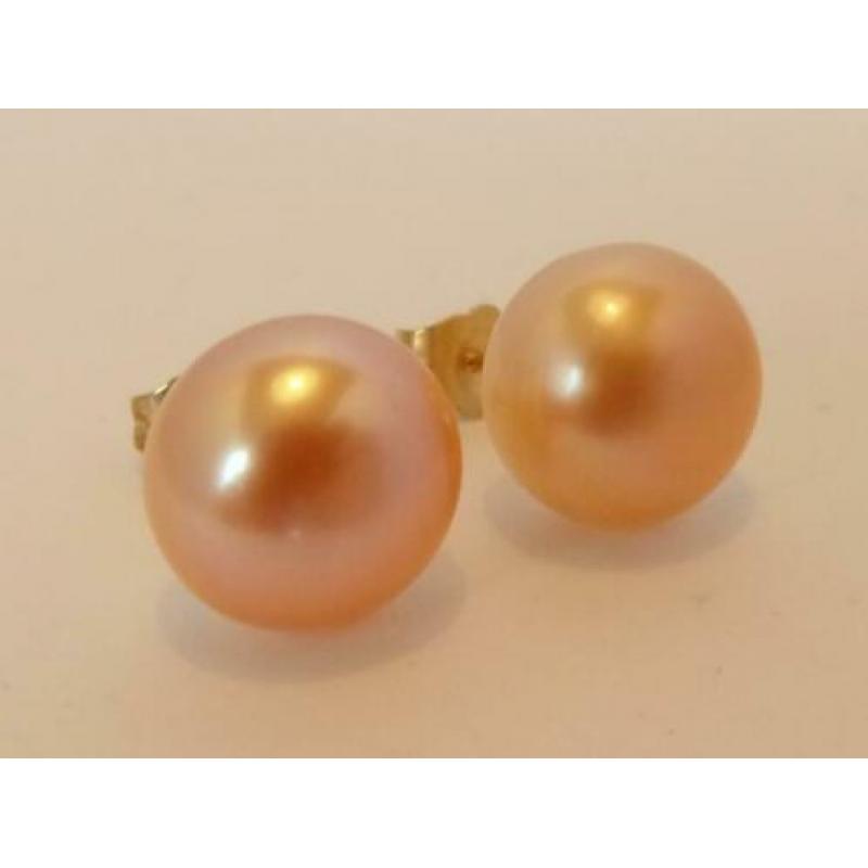 Nieuwe 14 karaat gouden oorbellen met echte parels 10 mm
