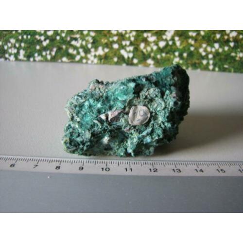 Crysocolla Malachiet.Nevada USA.29