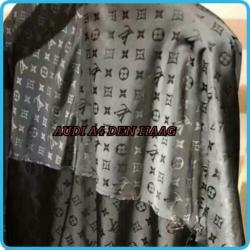 Louis vuitton lv reversible summer windbreaker