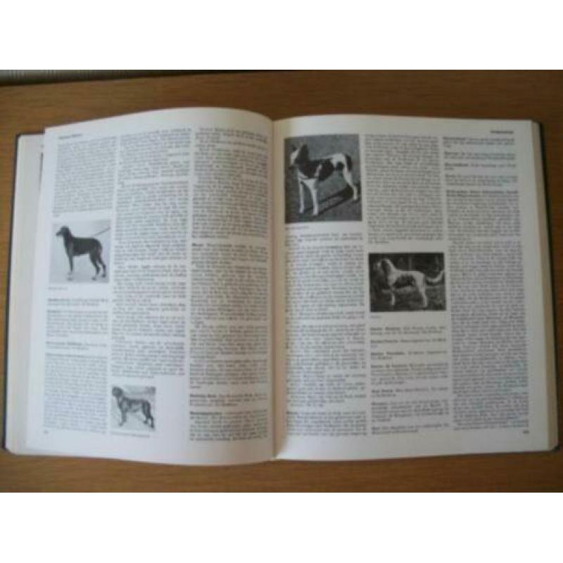 Toepoels Hondenencyclopedie - Zesde druk - zgan