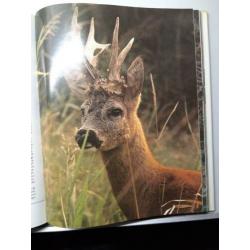 Boek: Bos en woud.