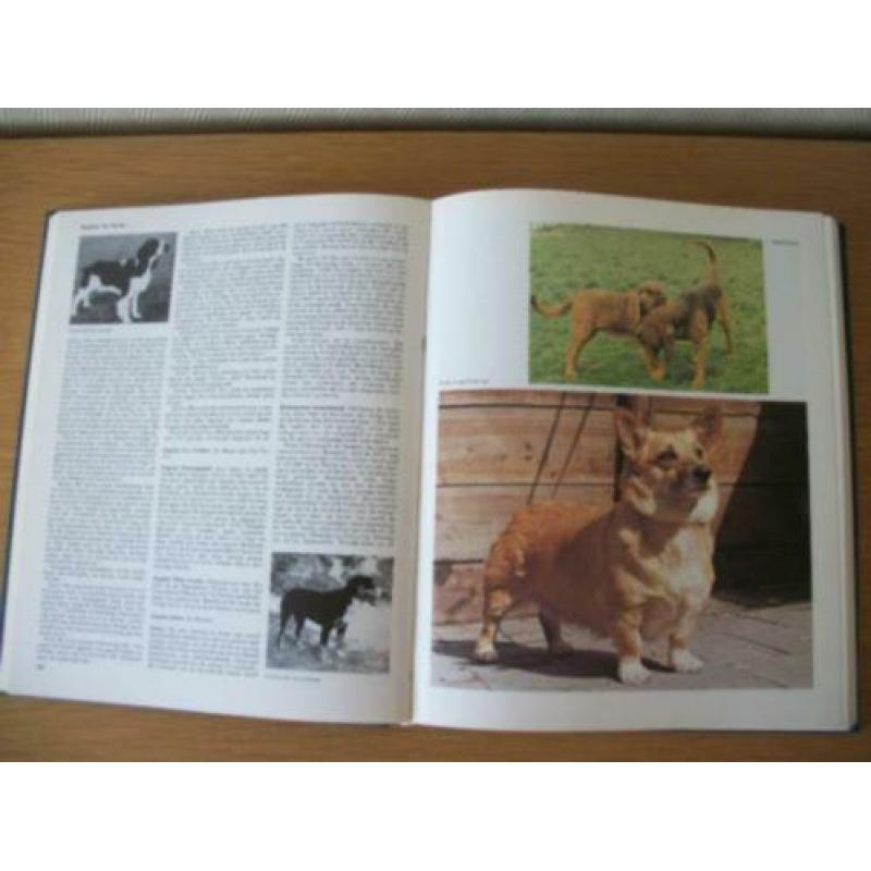 Toepoels Hondenencyclopedie - Zesde druk - zgan