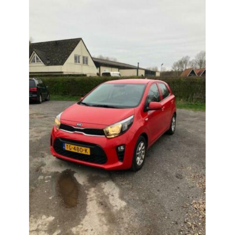 KIA Picanto 1.0 Cvvt 67pk 5-zits 2018 Rood