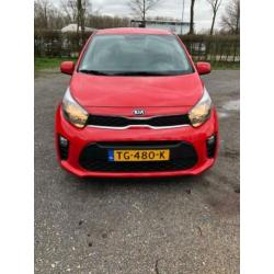 KIA Picanto 1.0 Cvvt 67pk 5-zits 2018 Rood
