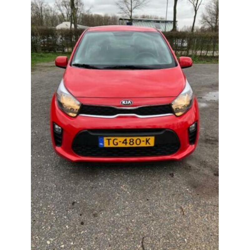 KIA Picanto 1.0 Cvvt 67pk 5-zits 2018 Rood