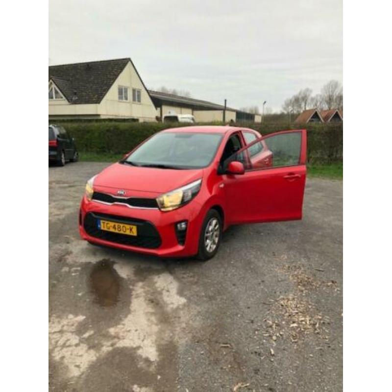 KIA Picanto 1.0 Cvvt 67pk 5-zits 2018 Rood