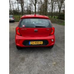 KIA Picanto 1.0 Cvvt 67pk 5-zits 2018 Rood