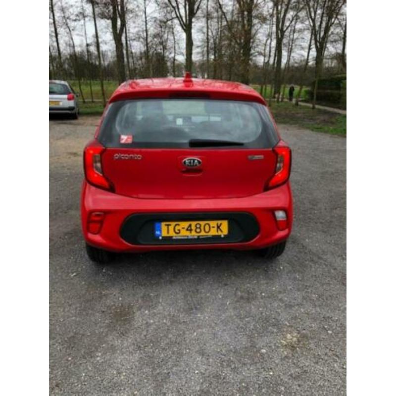 KIA Picanto 1.0 Cvvt 67pk 5-zits 2018 Rood