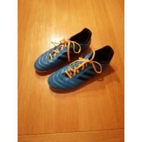 Te koop : Adidas gymschoenen blauw