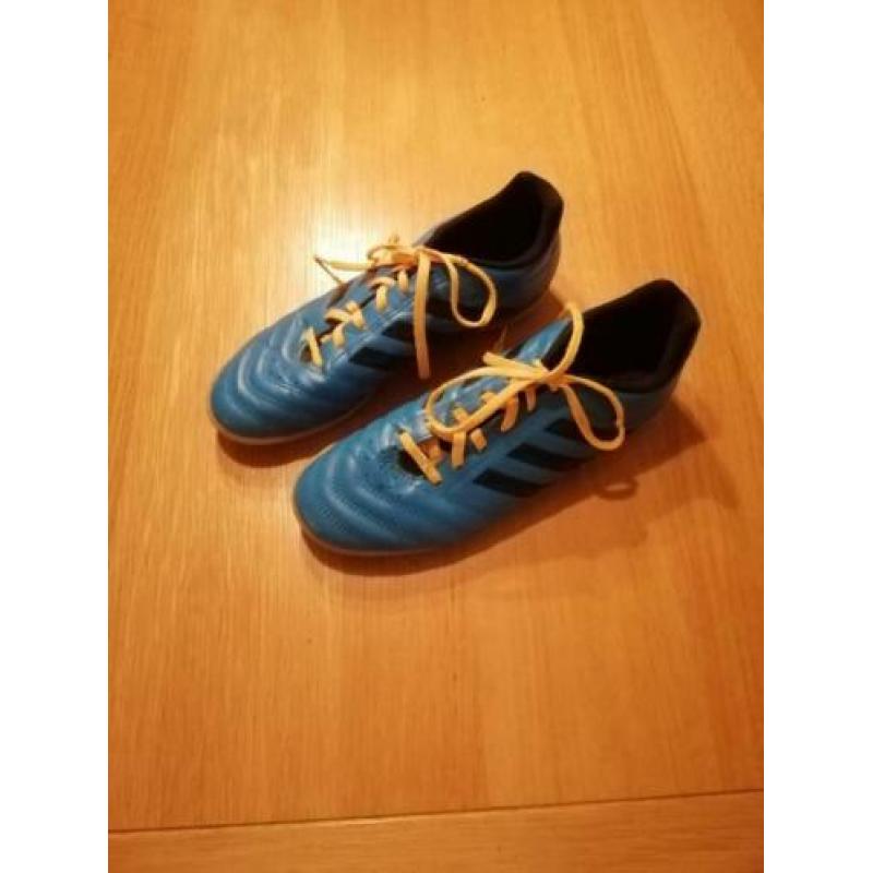 Te koop : Adidas gymschoenen blauw