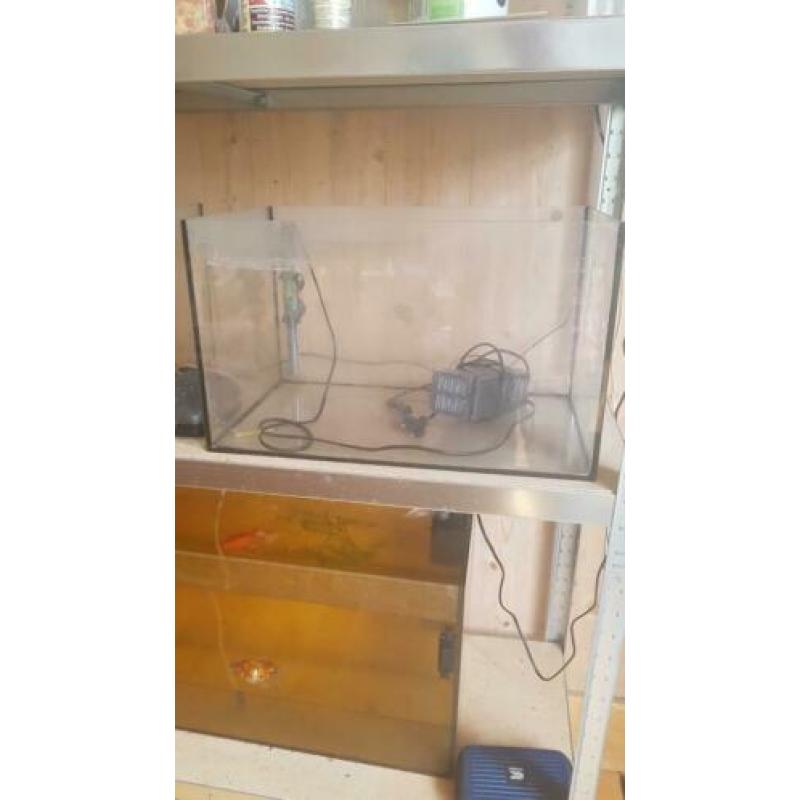 Aquarium, bak