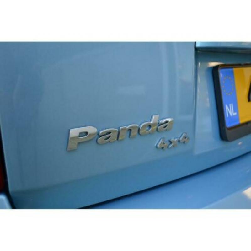 Fiat Panda 1.2 Climbing 4x4 Verkocht!