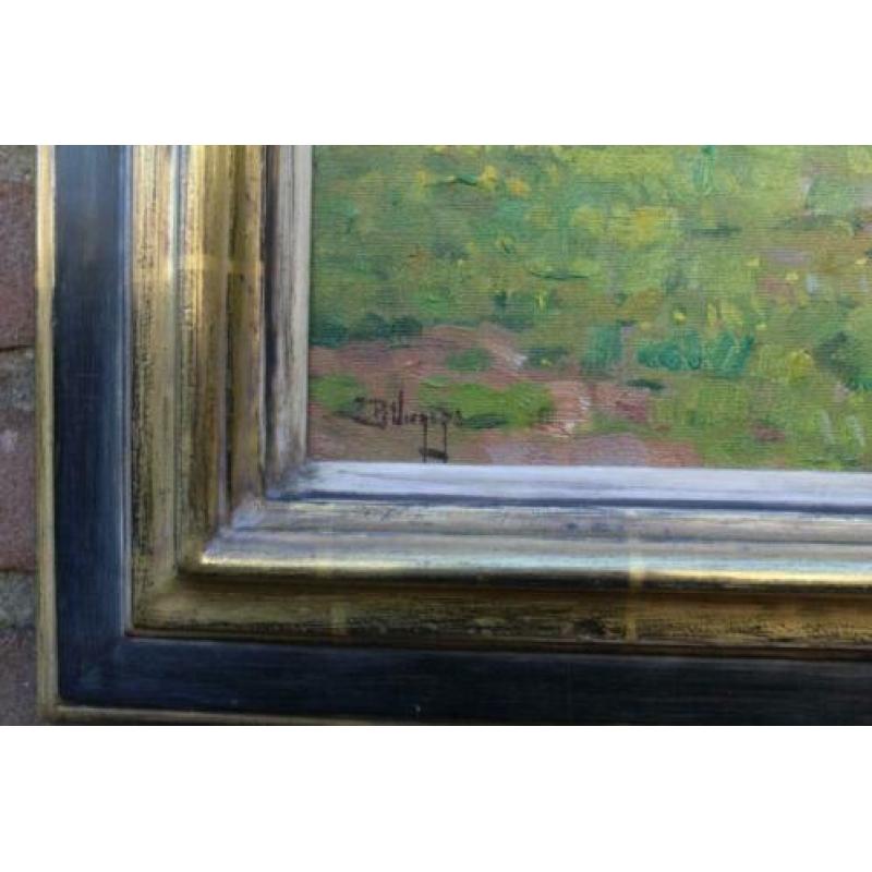Ben viegers (1886-1947)