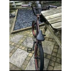 Bmx colony