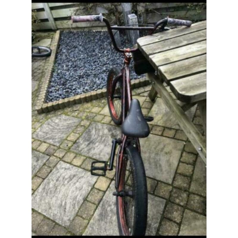 Bmx colony