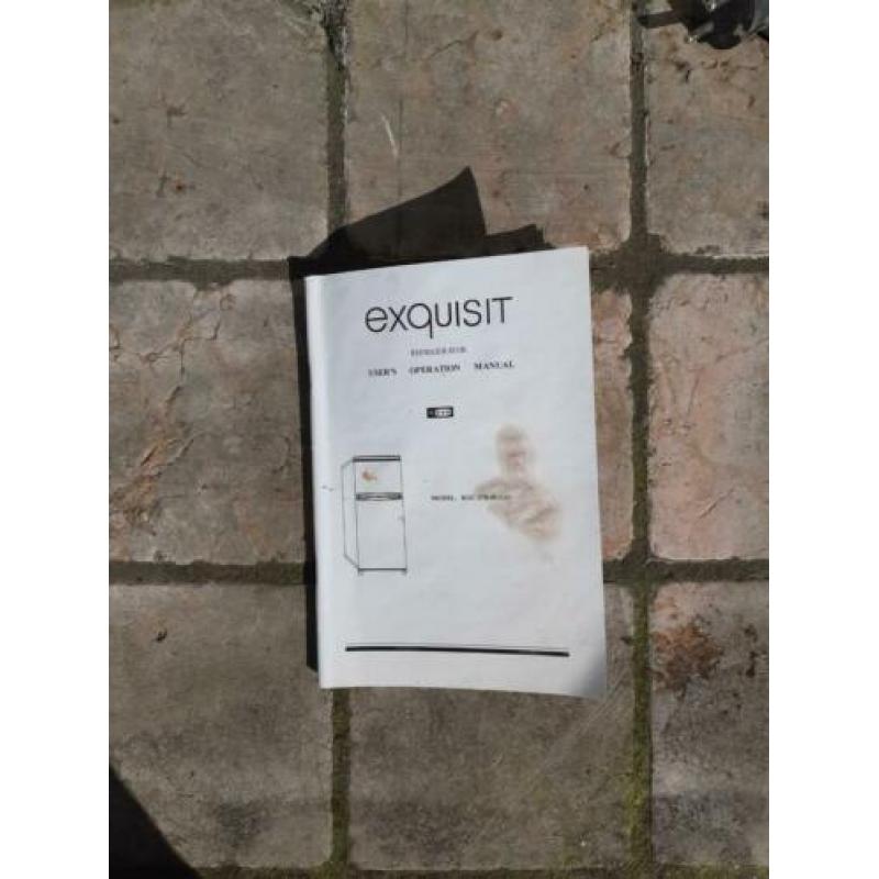 koelkast (171 l) met vriesruimte (41 l, no frost) exquisit