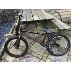Bmx colony