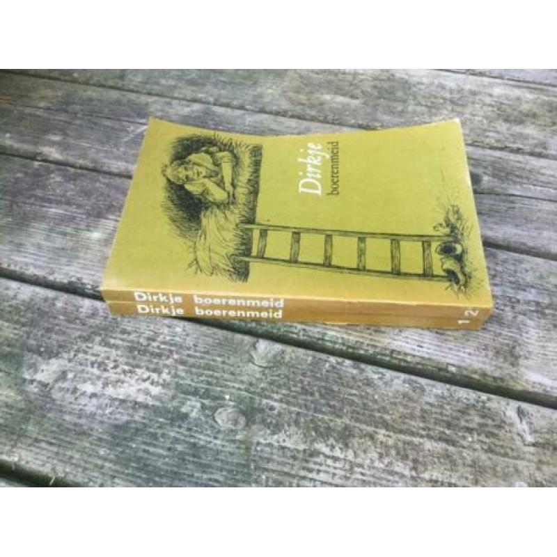 Betje Boerhave, Dagboeken en brieven uit de 19e eeuw