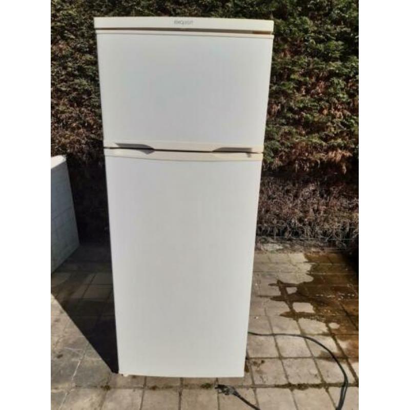 koelkast (171 l) met vriesruimte (41 l, no frost) exquisit