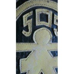 U.s. 509 airborne borst patch