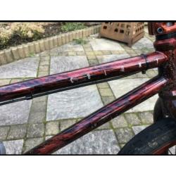 Bmx colony