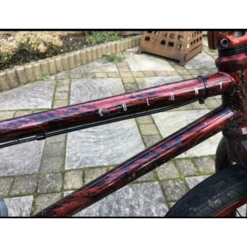 Bmx colony