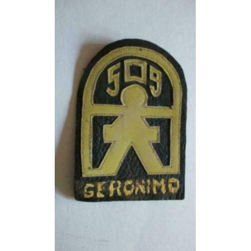 U.s. 509 airborne borst patch