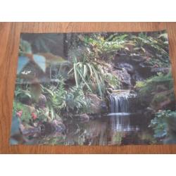 Puzzel De Amazone 37 x 45 cm 1000 stukjes