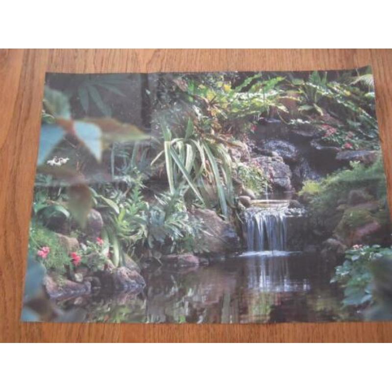 Puzzel De Amazone 37 x 45 cm 1000 stukjes