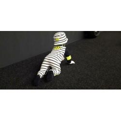 Valentino Rossi baby spulletjes 2020 collectie is binnen