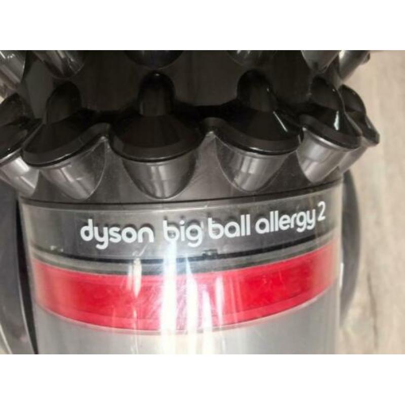 Dyson big ball allergy 2