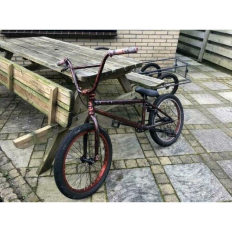 Bmx colony