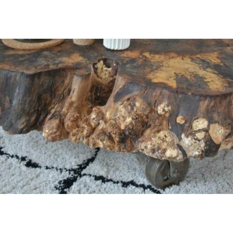 boomstam salontafel boomstamtafel kastanje salontafel
