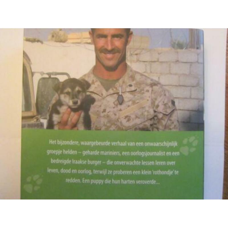 waargebeurd verhaal hond Liefs uit Bagdad Jay Kopelman