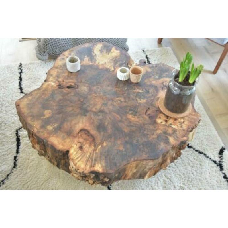 boomstam salontafel boomstamtafel kastanje salontafel