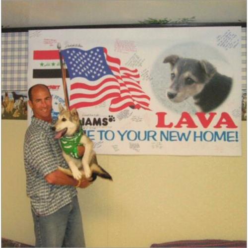 waargebeurd verhaal hond Liefs uit Bagdad Jay Kopelman